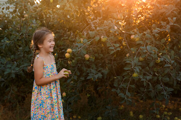 girl with apples, ripe apples, girl holding apples, apple orchard, Kids in meadow, eating apples