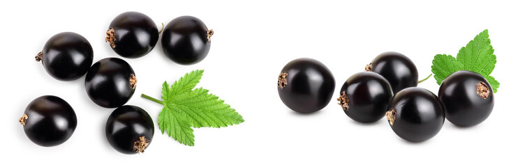 black currant with leaf isolated on white background. Top view. Flat lay pattern