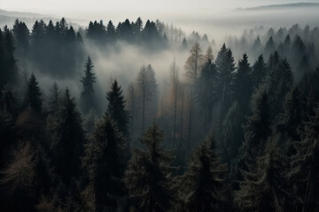 Misty Dawn in the Enchanted Forest. AI generated.