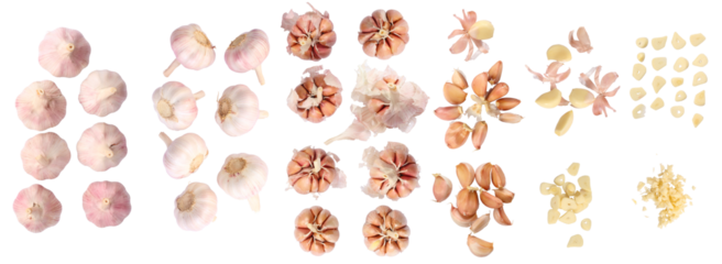 Set of fresh whole, peeled, sliced and chopped  garlic isolated on white background. Image on top view.