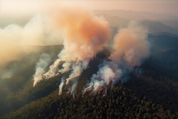 Astonishing ecological calamity represented by an extensive, raging forest fire. Generative AI