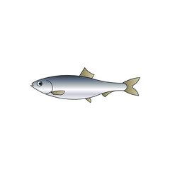 set of fish vector isolated on white background.animal, fish, fishing, grass carp fish, seafood, sea, food, ocean, meat, cooking, water, freshwater, catch, blue, clipart, sticker, vector illustration