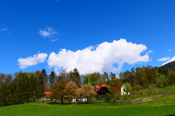 Obraz premium Bauernhof an der steirischen Apfelstraße