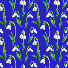 Seamless pattern of watercolor purple snowdrops flowers. Hand drawn illustration. Botanical hand painted floral elements on blue background. Spring flower drawing.