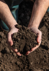 Male farmer in the field checks the soil. Selective focus.