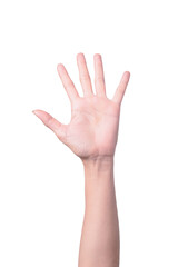 Fototapeta premium Woman hand raised with five fingers spread on white background