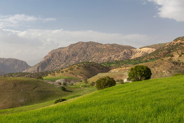 Grasslands of Do Polan, Chaharmahal and Bakhtiari, Iran