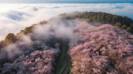 Lots of gradated pink cherry blossoms in sunset and fog, generative ai