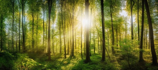 Obraz premium Rays of sunlight through a beautiful green forest landscape background. Generative AI.