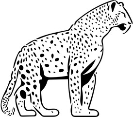 Cheetah vector illustration | Silhouette of a Leopard | Vector  | Digital art