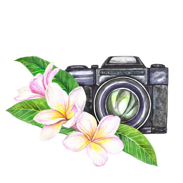 Watercolor illustration composition camera with plumeria flowers isolated on transparent background