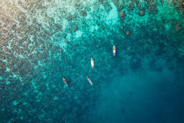 Fototapeta travel by longtail boat in Phi Phi islands obraz
