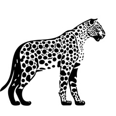 leopard on a white background | vector illustration of a Leopard 