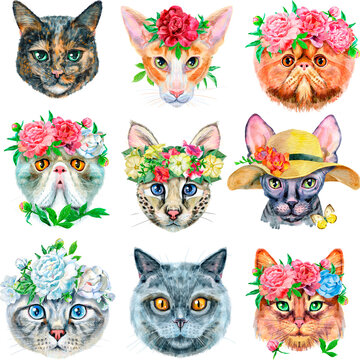 Set of portraits of cats of different breeds with accessories. Watercolor hand drawn illustration