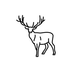 Deer black line icon. Farm animals.