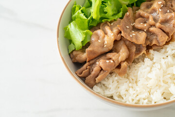 Japanese Pork Donburi Rice Bowl