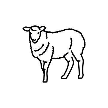 Sheep black line icon. Farm animals.