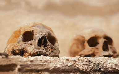 Old skulls in the catacombs closeup