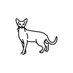 Abyssinian cat black line icon. Farm animals.