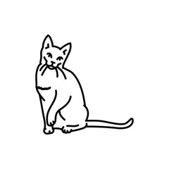 Briefly cat black line icon. Farm animals.
