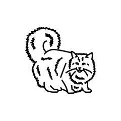 Norwegian. forest cat black line icon. Farm animals.