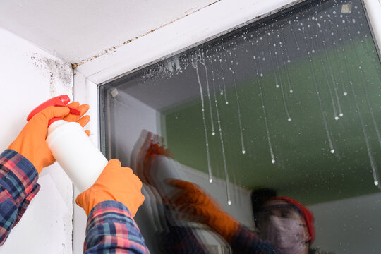 Spraying the drug against harmful mold on the window.