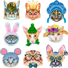 Set of portraits of cats of different breeds with accessories. Watercolor hand drawn illustration