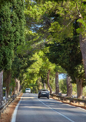Typical Tuscany road along cypresses