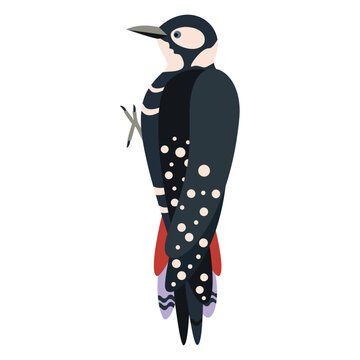 Cute, cartoon woodpecker bird. Flat vector illustration.