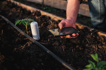 Gardener using mobile app checking monitoring soil moisture with smartphone