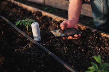 Poster Gardener using mobile app checking monitoring soil moisture with smartphone © memento_jpeg