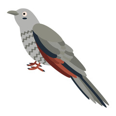 Obraz premium Cute, cartoon cuckoo bird. Flat vector illustration.