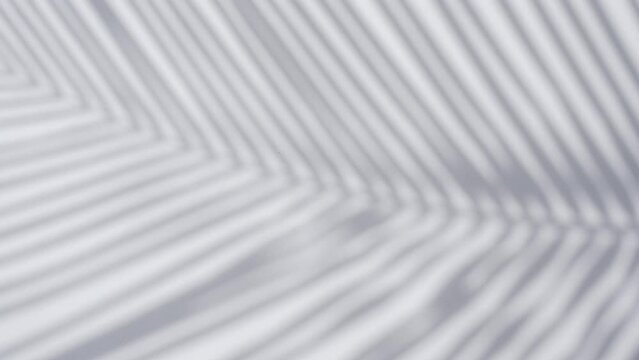 shadow of palm leave sway in the wind. on white background