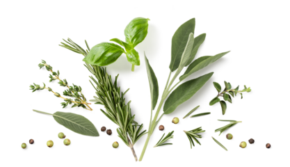 Fresh organic Mediterranean herbs and spices elements isolated over a transparent background, sage, rosemary twig and leaves, thyme, oregano, basil, green and black pepper, top view, flat lay