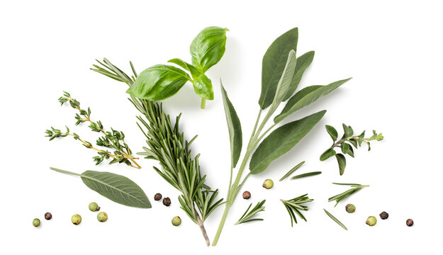 Fresh organic Mediterranean herbs and spices elements isolated over a transparent background, sage, rosemary twig and leaves, thyme, oregano, basil, green and black pepper, top view, flat lay