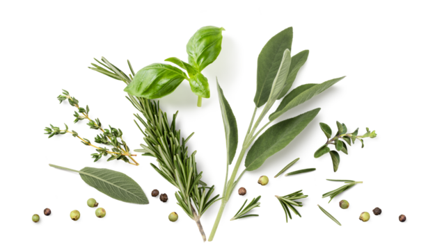 Fresh organic Mediterranean herbs and spices elements isolated over a transparent background, sage, rosemary twig and leaves, thyme, oregano, basil, green and black pepper, top view, flat lay