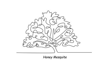 Single one line drawing honey mesquite. Tree concept. Continuous line draw design graphic vector illustration.