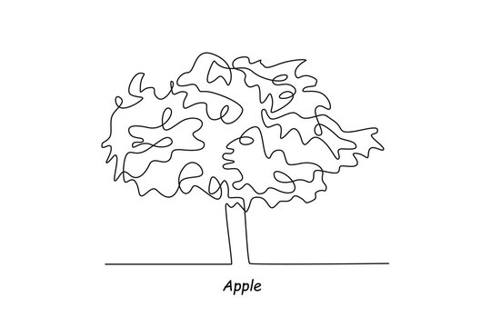 Single one line drawing apple tree. Tree concept. Continuous line draw design graphic vector illustration.