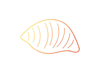 貝がらの手書き線画ベクターイラスト