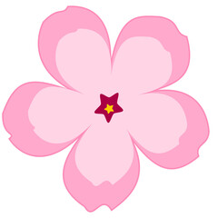 pink flower