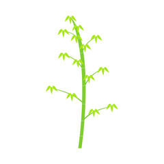 笹。フラットなベクターイラスト。
Bamboo grass. Flat designed vector illustration.