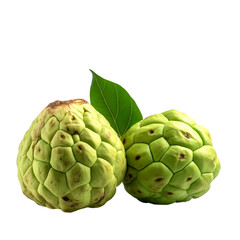 Obraz premium artichoke on white background, cherimoya fruit,