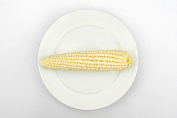 Corn on a white plate.
