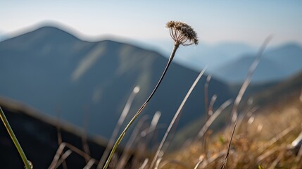 Lonely stem staing against the wind in the mountains. generative ai