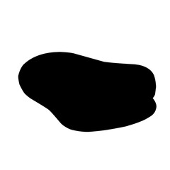 Puddle Silhouette Icon 