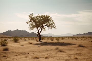 Fototapeta na wymiar Gradually withering, expansive single tree grappling with harsh arid environment. Generative AI