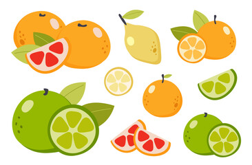 Big set of citrus elements. Summer fruit collection. Cute cartoon vector illustration