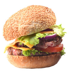 Hamburger on white background isolated