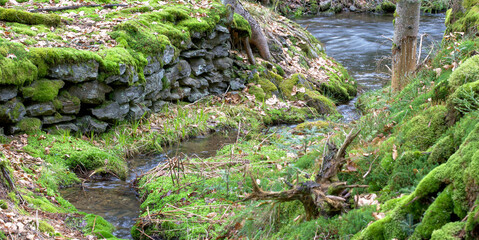 A small stream meanders through an idyllic landscape. The embankment of the creek is covered with moss and a natural stone wall delimits the bank and protects the surrounding landscape from the water.