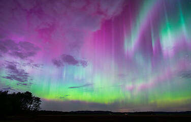 Fields of Auroras 